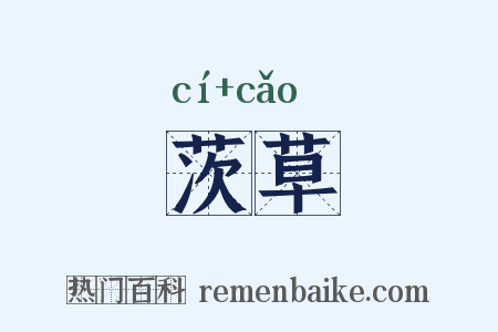 茨草是什么意思的图片